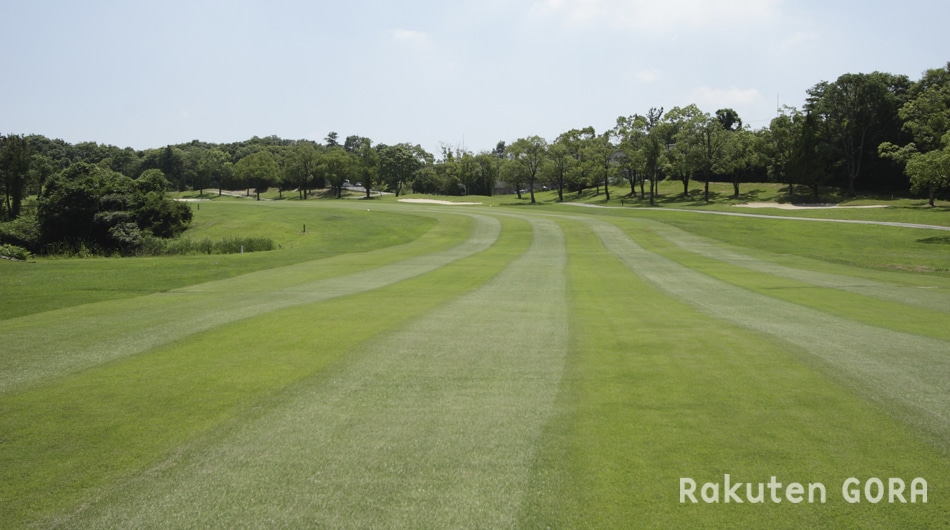 フェアウェイのストライプと樹林
